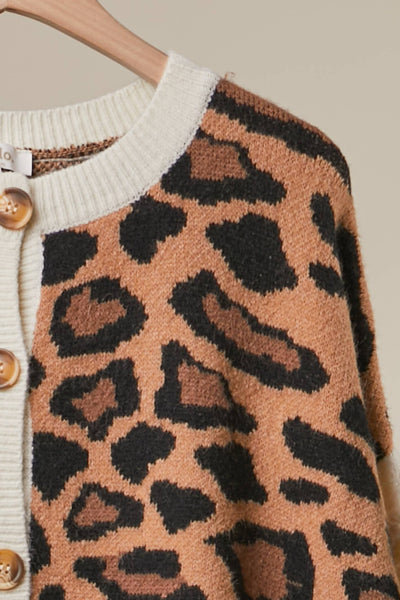 Bold Stripe and Leopard Cardigan 5109