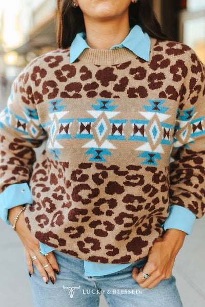 Brown Leopard Aztec Knit Long Sleeve Sweater 360