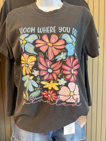 Bloom Where you are Planted 327