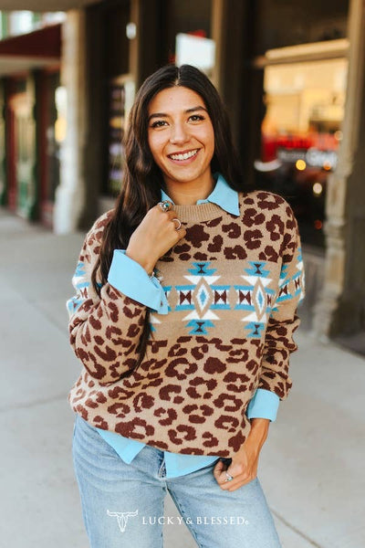 Brown Leopard Aztec Knit Long Sleeve Sweater 360