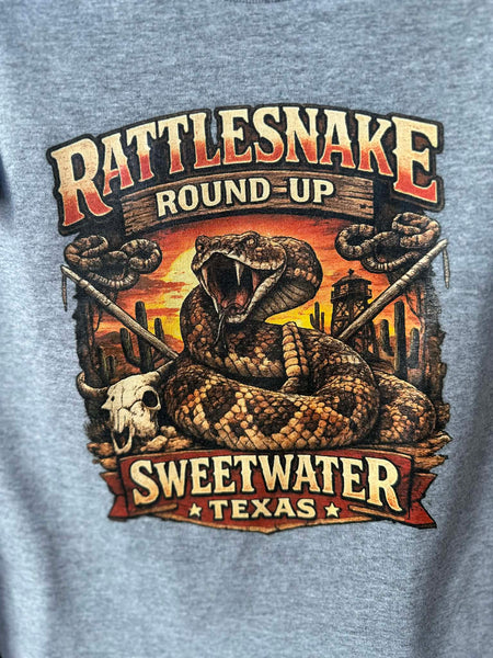 Sweetwater Texas RR2
